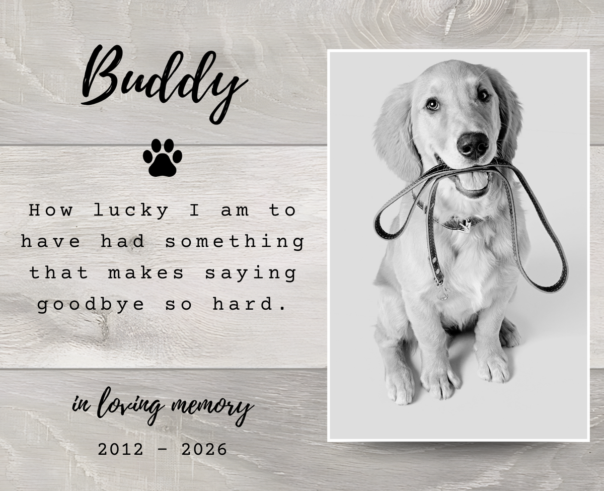 A memorial sign or print featuring a black-and-white photo of a dog holding a leash in its mouth, alongside printed text reading 'Buddy' and a remembrance message on a light wood-textured background.