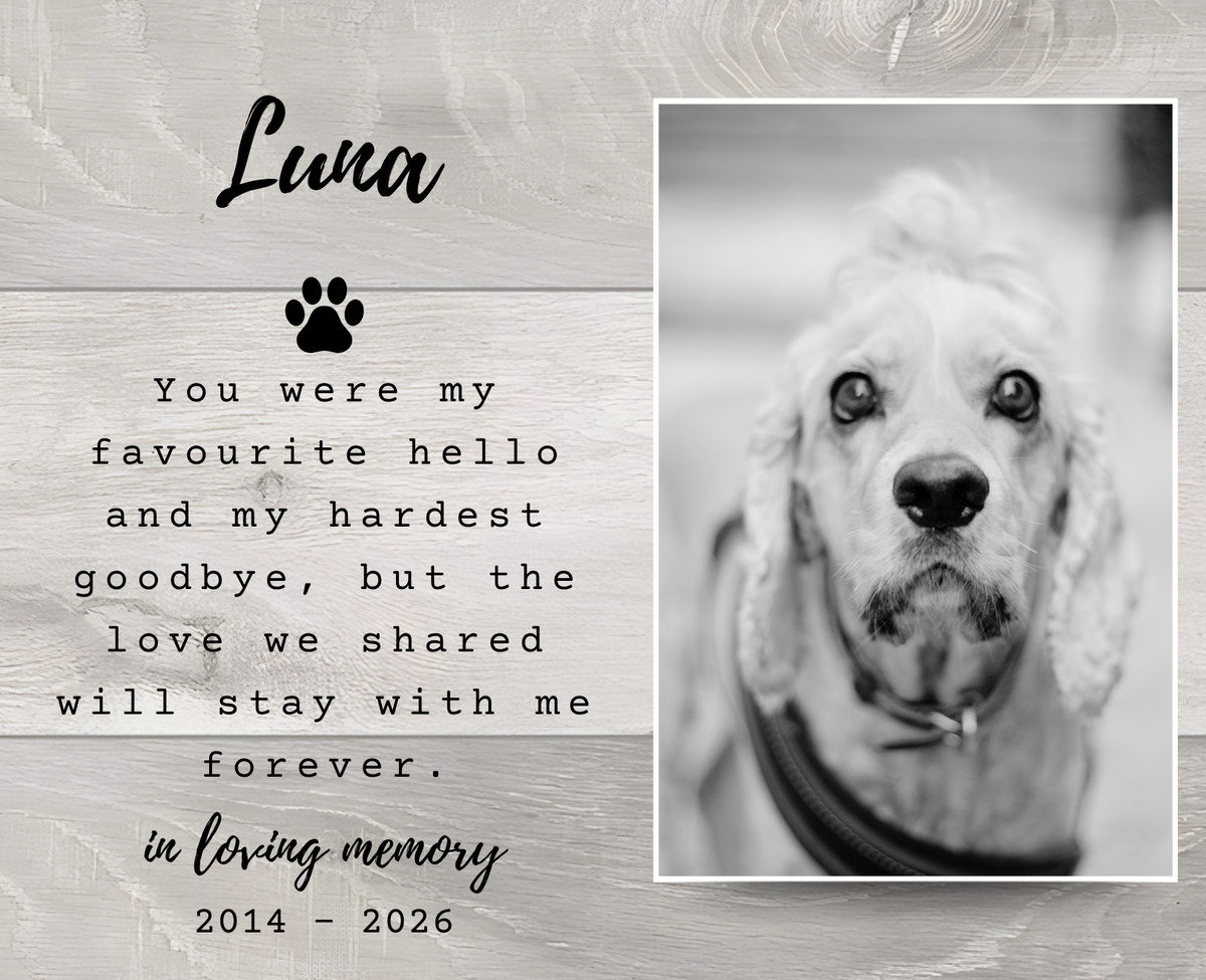 A pet memorial card design with a black-and-white photo of a dog on the right and a gray wood-textured left side featuring the name 'Luna,' a paw print, and memorial text.