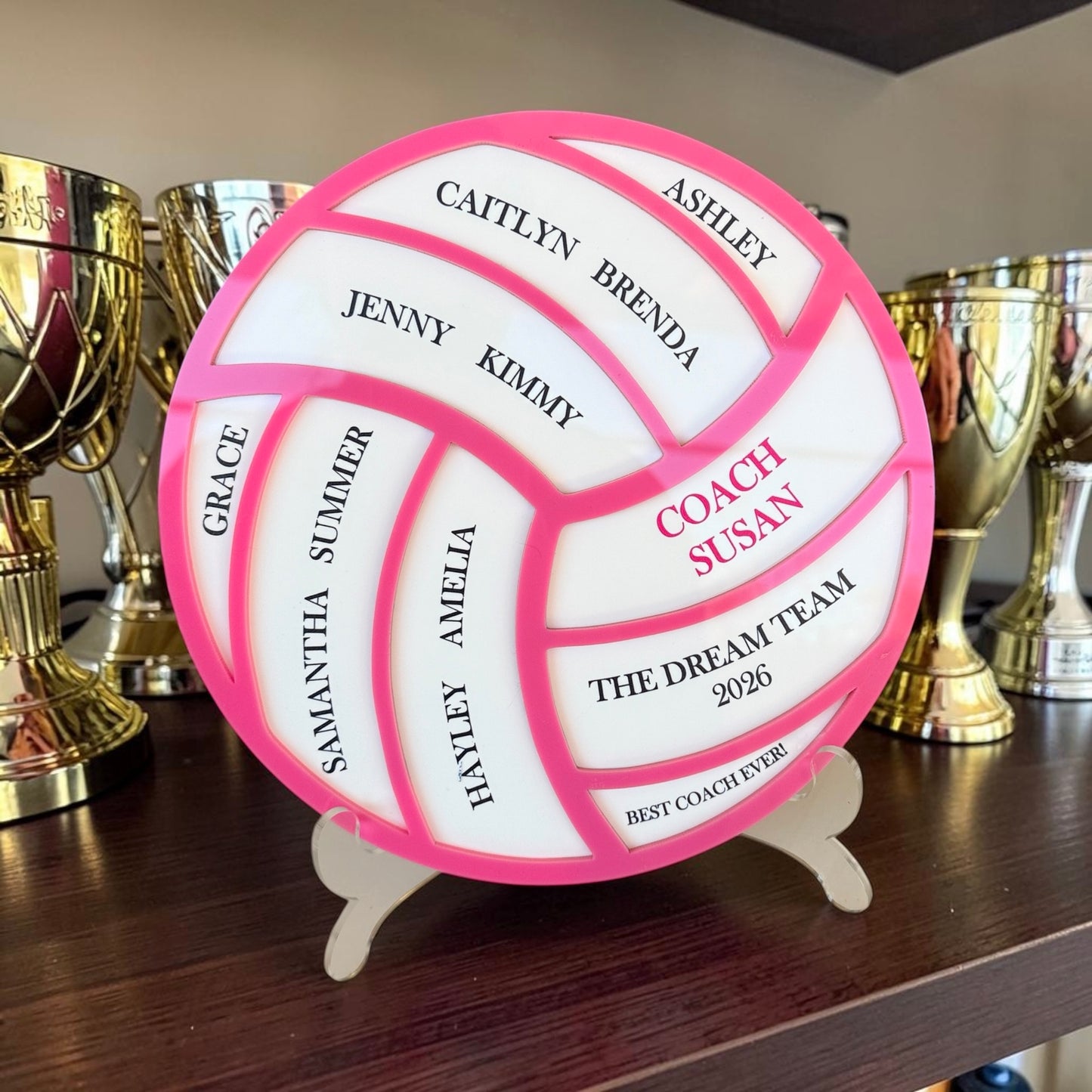 A personalized volleyball-shaped plaque with bright pink borders and white panels, displayed on a small stand on a wooden shelf. The plaque is engraved with names and the text 'COACH SUSAN' in red, with other trophies visible in the blurred background.