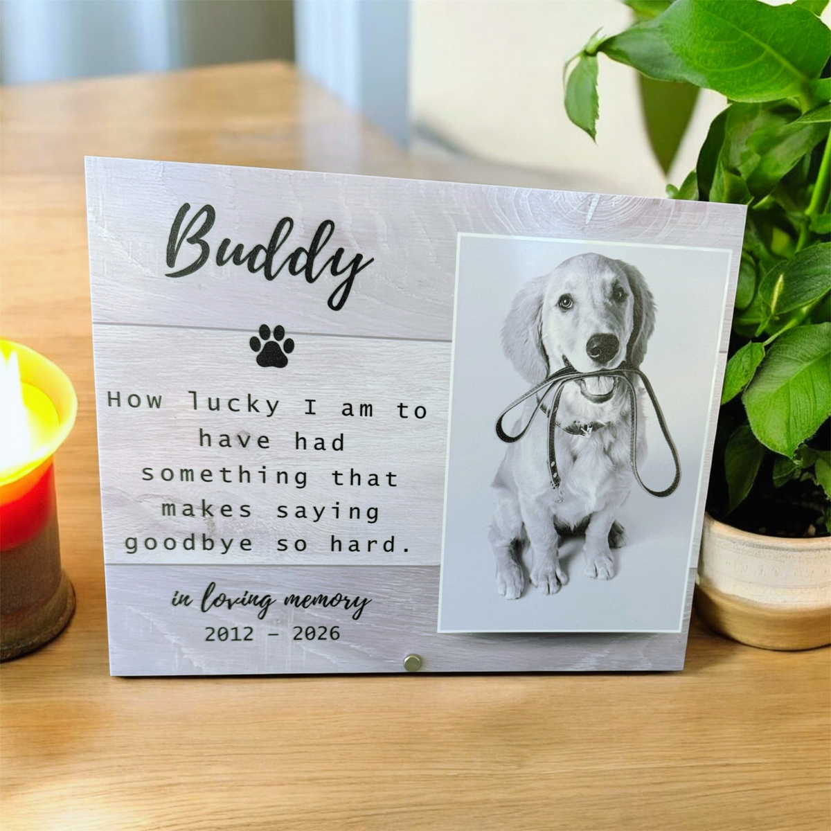 A personalized wooden memorial plaque for a dog named 'Buddy' displayed on a wooden table. The left side features a light gray wood-grain background with black script text reading 'Buddy' and a paw print, followed by a memorial quote.